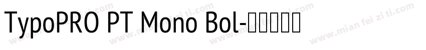 TypoPRO PT Mono Bol字体转换